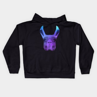 Galaxy Llama Kids Hoodie